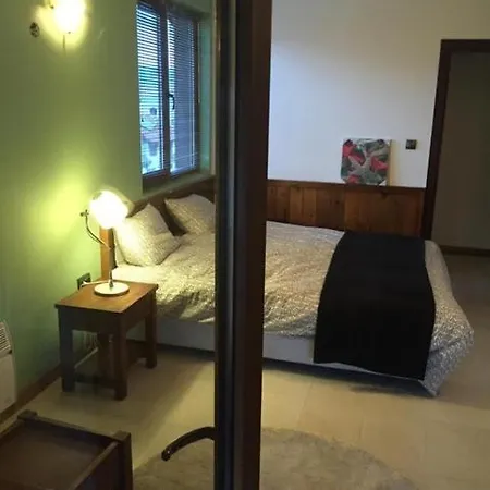 Elegant 3 Alexander Services Luxury Four Bedroom Penthouse Apartament *