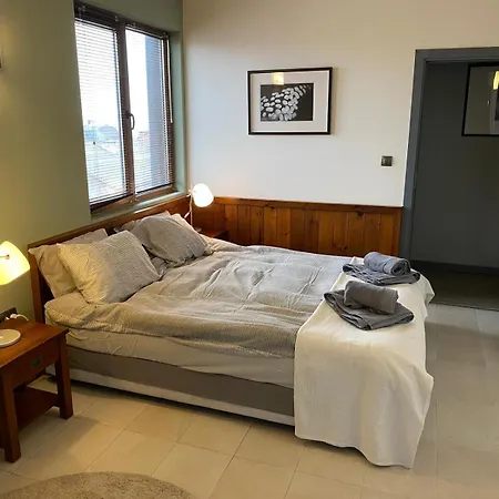 Apartament Elegant 3 Alexander Services Luxury Four Bedroom Penthouse